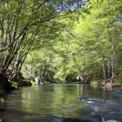 entorno y actividades Casa Ana 08