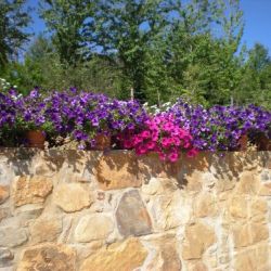 Imágenes Hotel Casa Ana 10