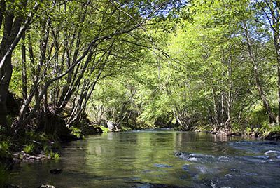 Rincones y rutas en El Bierzo